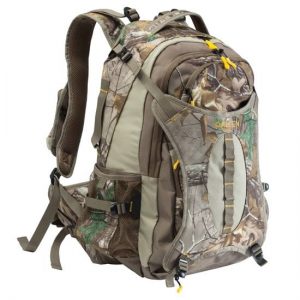 Allen 35LT Canyon Day Pack 2022